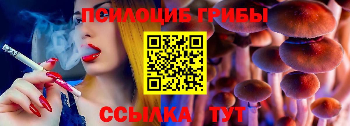 Псилоцибиновые грибы прущие грибы Александров